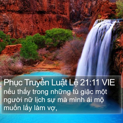 Phục Truyền Luật Lệ 21:11 VIE Bible Verse Image