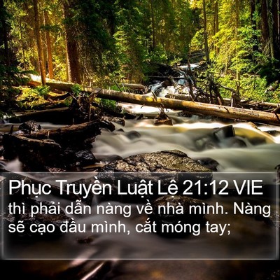 Phục Truyền Luật Lệ 21:12 VIE Bible Verse Image