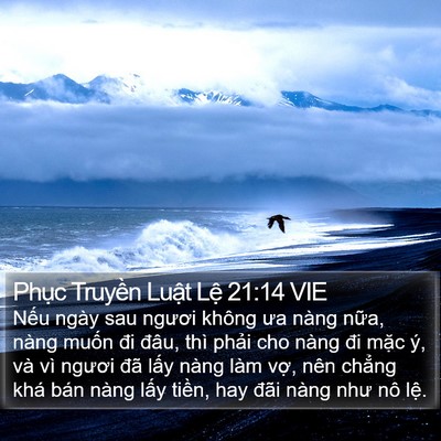 Phục Truyền Luật Lệ 21:14 VIE Bible Verse Image