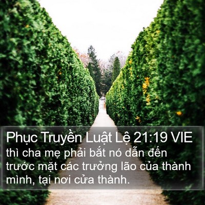 Phục Truyền Luật Lệ 21:19 VIE Bible Verse Image