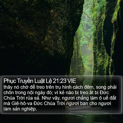 Phục Truyền Luật Lệ 21:23 VIE Bible Verse Image