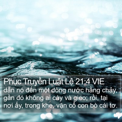 Phục Truyền Luật Lệ 21:4 VIE Bible Verse Image