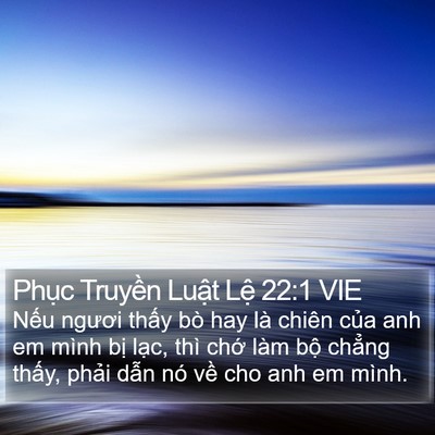 Phục Truyền Luật Lệ 22:1 VIE Bible Verse Image