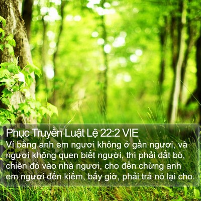 Phục Truyền Luật Lệ 22:2 VIE Bible Verse Image
