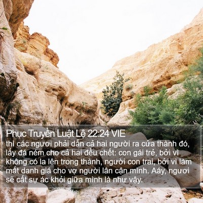 Phục Truyền Luật Lệ 22:24 VIE Bible Verse Image