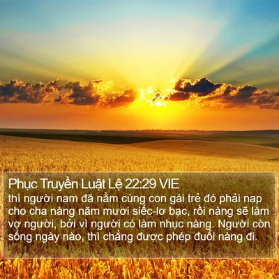Phục Truyền Luật Lệ 22:29 VIE Bible Verse Image