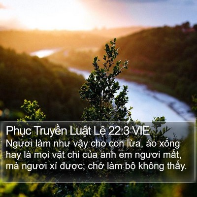Phục Truyền Luật Lệ 22:3 VIE Bible Verse Image