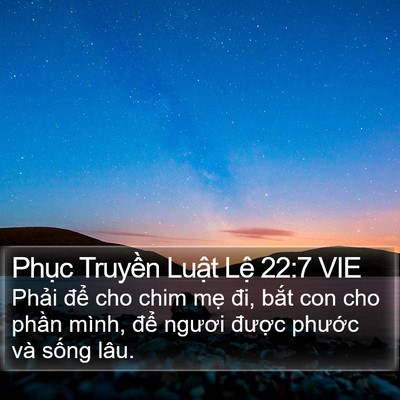 Phục Truyền Luật Lệ 22:7 VIE Bible Verse Image