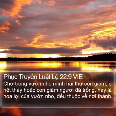 Phục Truyền Luật Lệ 22:9 VIE Bible Verse Image