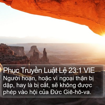 Phục Truyền Luật Lệ 23:1 VIE Bible Verse Image