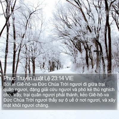 Phục Truyền Luật Lệ 23:14 VIE Bible Verse Image