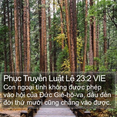 Phục Truyền Luật Lệ 23:2 VIE Bible Verse Image