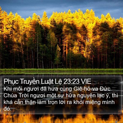 Phục Truyền Luật Lệ 23:23 VIE Bible Verse Image