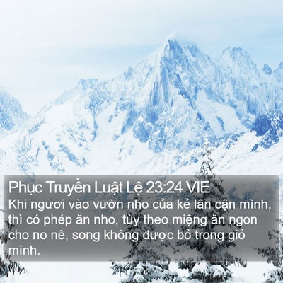 Phục Truyền Luật Lệ 23:24 VIE Bible Verse Image