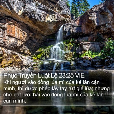 Phục Truyền Luật Lệ 23:25 VIE Bible Verse Image