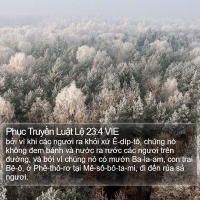Phục Truyền Luật Lệ 23:4 VIE Bible Verse Image