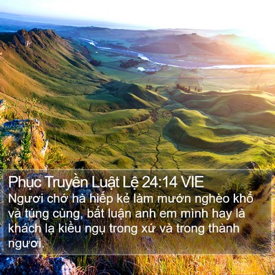 Phục Truyền Luật Lệ 24:14 VIE Bible Verse Image
