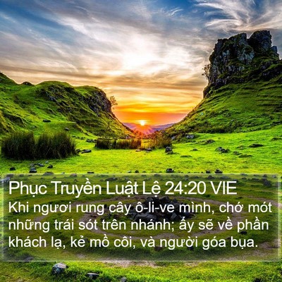 Phục Truyền Luật Lệ 24:20 VIE Bible Verse Image