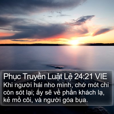 Phục Truyền Luật Lệ 24:21 VIE Bible Verse Image