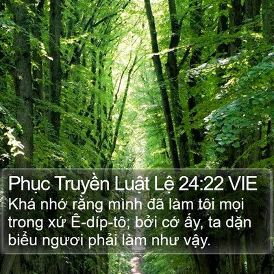 Phục Truyền Luật Lệ 24:22 VIE Bible Verse Image