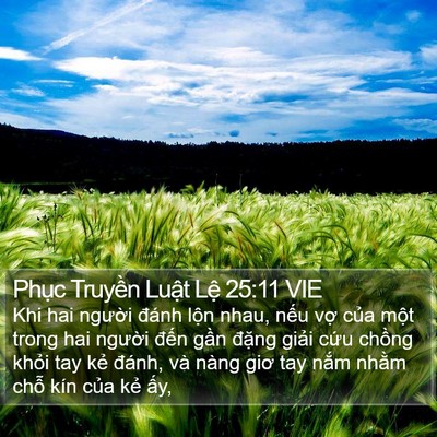 Phục Truyền Luật Lệ 25:11 VIE Bible Verse Image