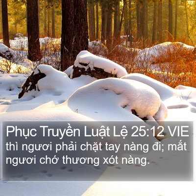 Phục Truyền Luật Lệ 25:12 VIE Bible Verse Image
