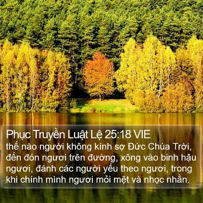 Phục Truyền Luật Lệ 25:18 VIE Bible Verse Image