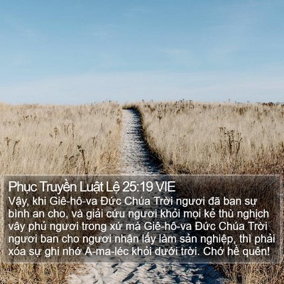 Phục Truyền Luật Lệ 25:19 VIE Bible Verse Image