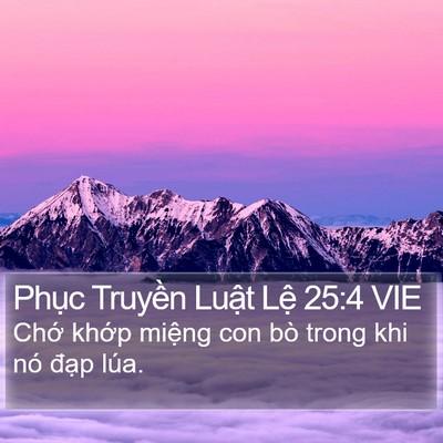 Phục Truyền Luật Lệ 25:4 VIE Bible Verse Image
