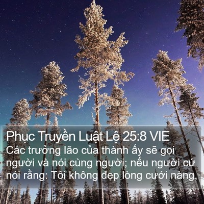 Phục Truyền Luật Lệ 25:8 VIE Bible Verse Image
