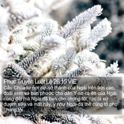 Phục Truyền Luật Lệ 26:15 VIE Bible Verse Image