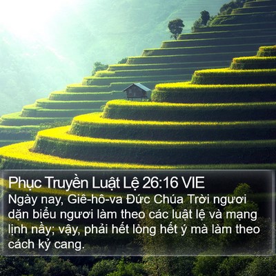 Phục Truyền Luật Lệ 26:16 VIE Bible Verse Image