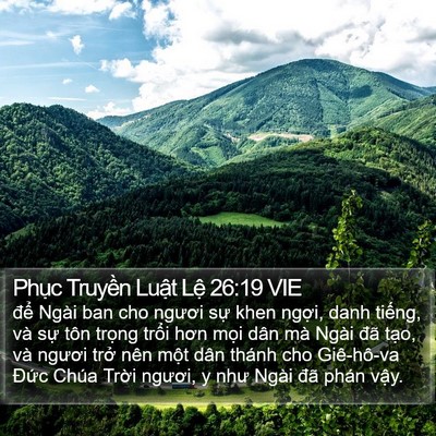 Phục Truyền Luật Lệ 26:19 VIE Bible Verse Image