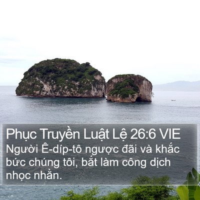 Phục Truyền Luật Lệ 26:6 VIE Bible Verse Image