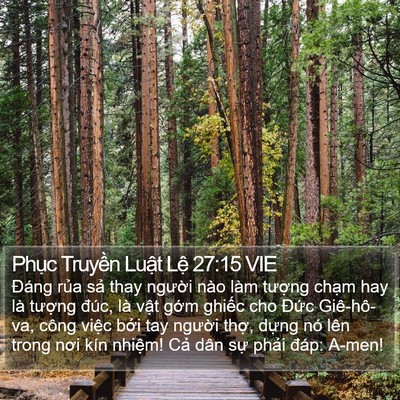 Phục Truyền Luật Lệ 27:15 VIE Bible Verse Image
