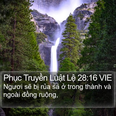 Phục Truyền Luật Lệ 28:16 VIE Bible Verse Image