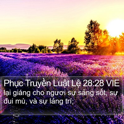 Phục Truyền Luật Lệ 28:28 VIE Bible Verse Image