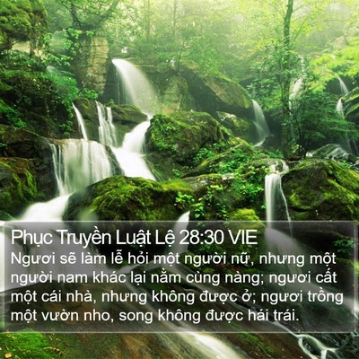 Phục Truyền Luật Lệ 28:30 VIE Bible Verse Image