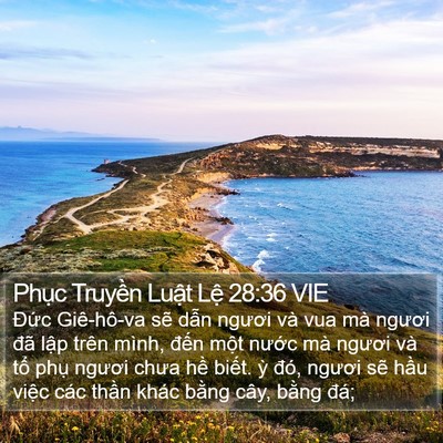Phục Truyền Luật Lệ 28:36 VIE Bible Verse Image
