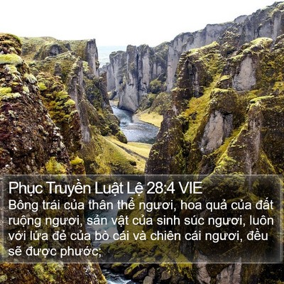 Phục Truyền Luật Lệ 28:4 VIE Bible Verse Image