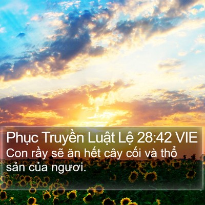 Phục Truyền Luật Lệ 28:42 VIE Bible Verse Image