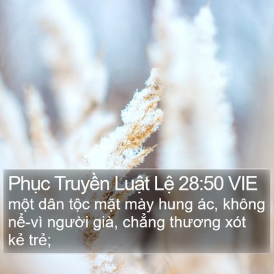 Phục Truyền Luật Lệ 28:50 VIE Bible Verse Image