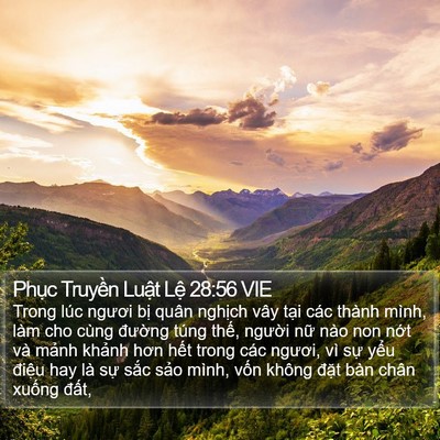 Phục Truyền Luật Lệ 28:56 VIE Bible Verse Image