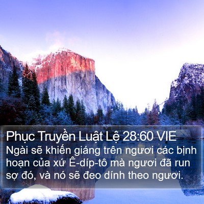 Phục Truyền Luật Lệ 28:60 VIE Bible Verse Image