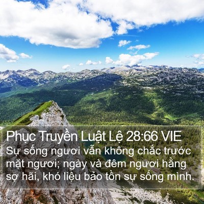 Phục Truyền Luật Lệ 28:66 VIE Bible Verse Image
