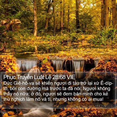 Phục Truyền Luật Lệ 28:68 VIE Bible Verse Image