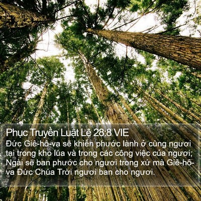 Phục Truyền Luật Lệ 28:8 VIE Bible Verse Image