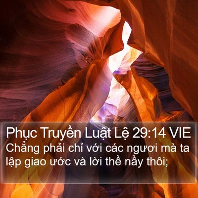 Phục Truyền Luật Lệ 29:14 VIE Bible Verse Image