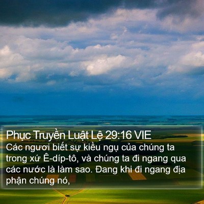 Phục Truyền Luật Lệ 29:16 VIE Bible Verse Image