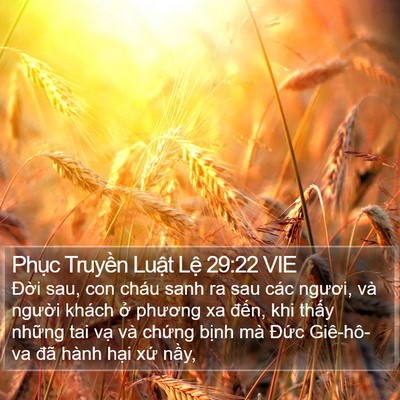 Phục Truyền Luật Lệ 29:22 VIE Bible Verse Image